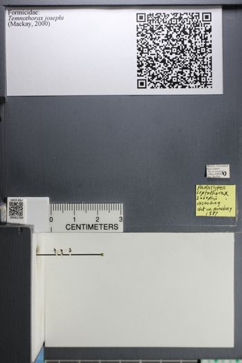 Media type: image;   Entomology 561769